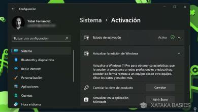 Activador Windows 11