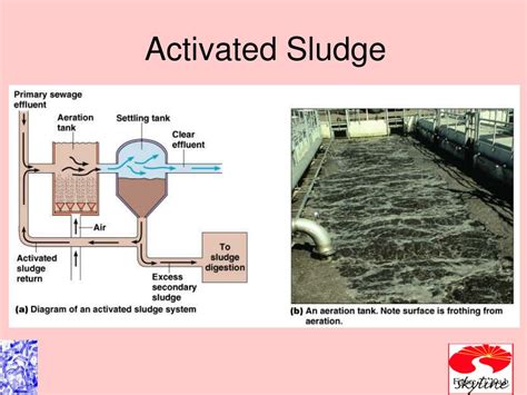 Activated Sludge Microbiology Problems And Solutions