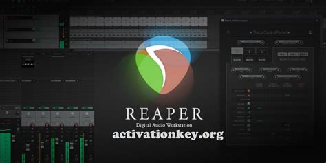 activation Reaper for free key
