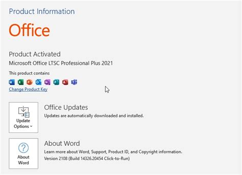 activation Word 2021 for free key 
