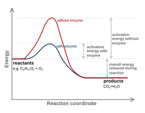 Activation Energy