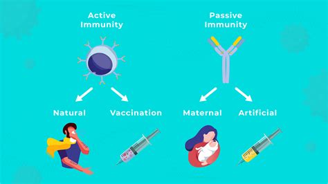 Active And Passive Immunity