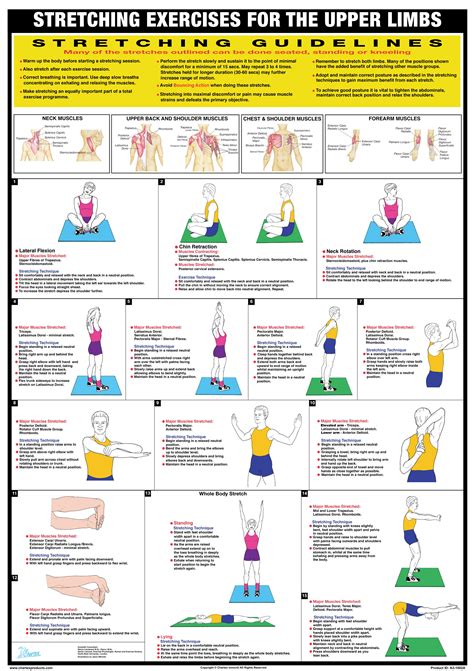 Active Assisted Upper Limb Stretches
