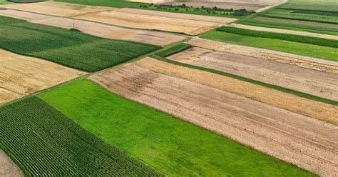Active Section Crops And Soil Answer Key