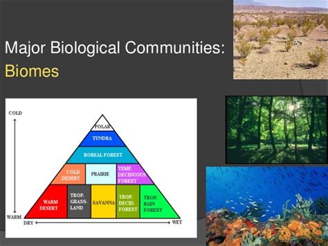 Active Section Major Biological Communities Answers