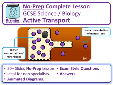 Active Transport Teaching Resources The Science Teacher Active Transport Worksheet Answers - Active Transport Worksheet Answers