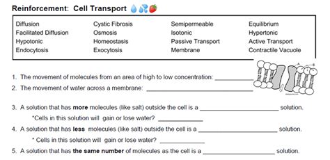 Active Transport Worksheet Answers   Transport Across A Cell Membrane Questions Khan Academy - Active Transport Worksheet Answers