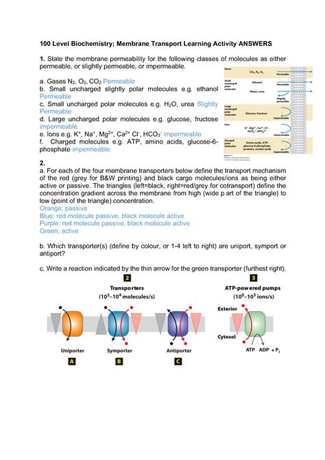 Read Active Biochemistry Answers 