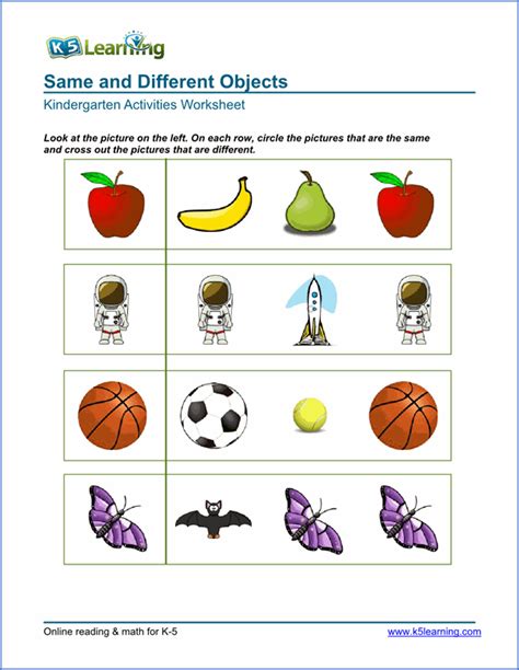 Activities For Identifying Similarities And Differences Beyond Similarities And Differences Activities - Similarities And Differences Activities