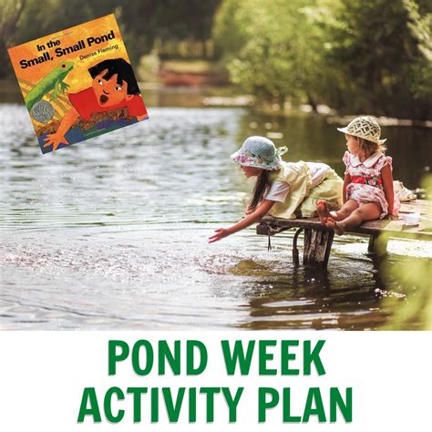 Activities For Small Small Pond