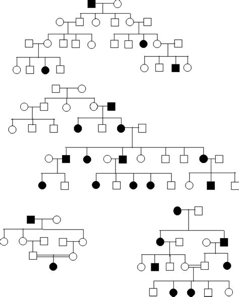 Activity 66 Patterns In Pedigrees Answers