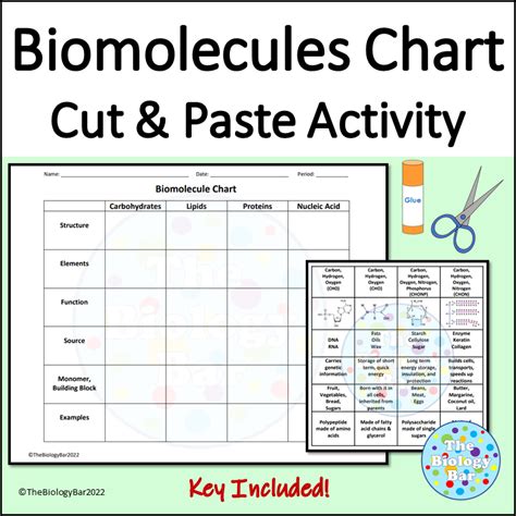 Activity Biomolecules