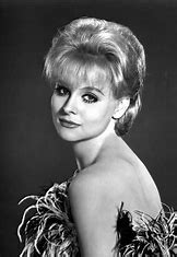 actress diane mcbain biography