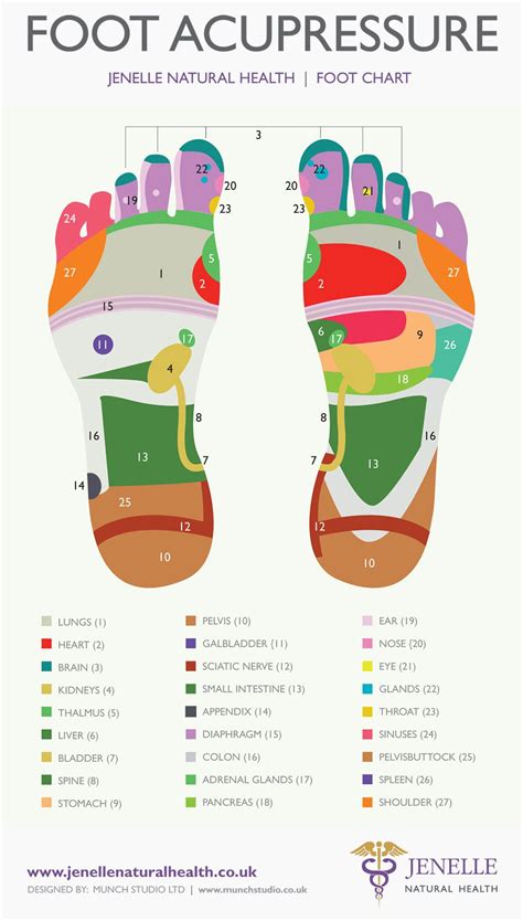 Acupressure Points Chart Pdf