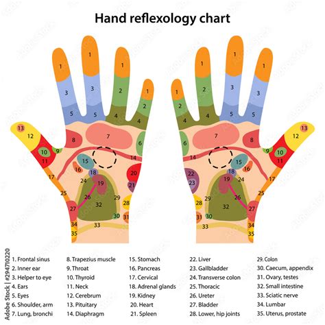 Acupuncture Hand Points Chart
