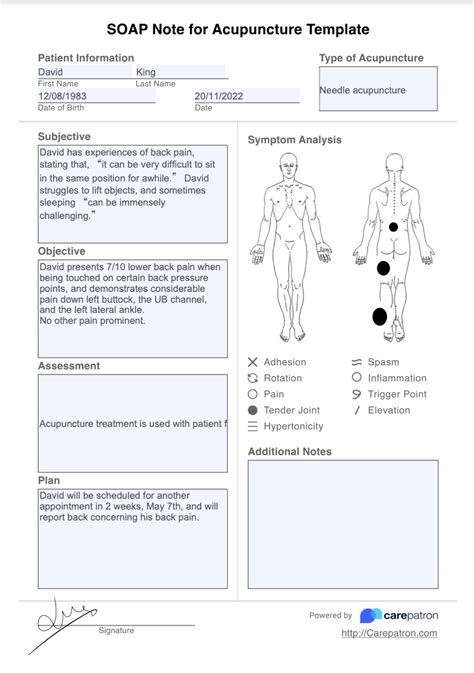 Acupuncture Progress Notes Sample