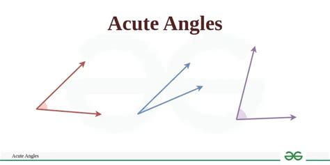 Acute Angle Acute Angle