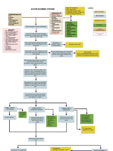 Acute Ischemic Stroke Concept Map