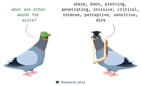 Acute Synonym