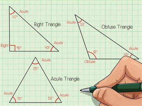 Acute Triangle Calculator   Classifying Triangles Calculator - Acute Triangle Calculator