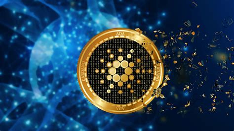 codini.rgarabwor.edu.pl. 