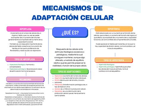 Adaptación Celular Dibujo