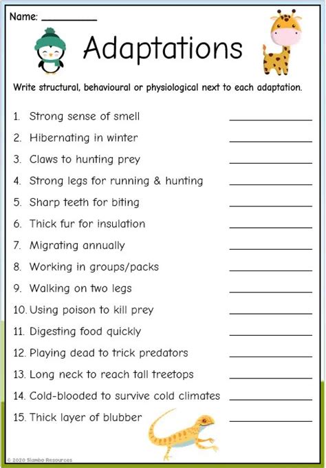 Adaptation Worksheets Free Printables Slamboresources Science Adaptation Worksheet 5 Grade - Science Adaptation Worksheet 5 Grade