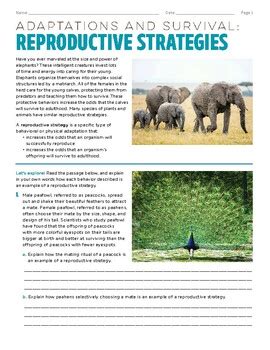 Adaptations And Survival Reproduction Strategies Worksheet Life Science Worksheets Middle School - Life Science Worksheets Middle School
