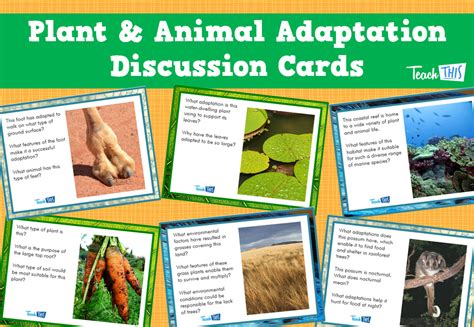 Adaptations Of Plants And Animals Games Worksheets Ecosystem Plant Adaptation Worksheet - Plant Adaptation Worksheet
