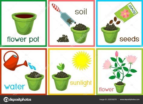 Add Title How To Plant A Seed Step One Step Worksheets Plant Science - One Step Worksheets Plant Science