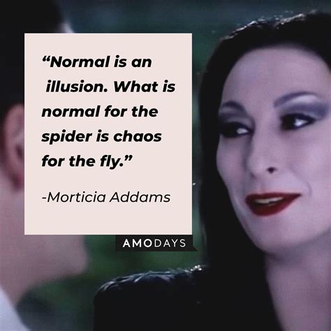 Addams Family Spider Quote