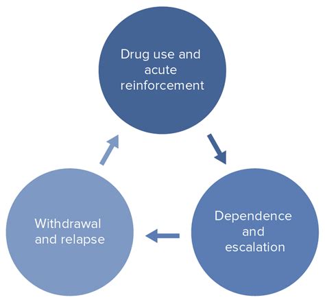 Addictive Disorders May Stem From Malfunctioning Reward Centers In The