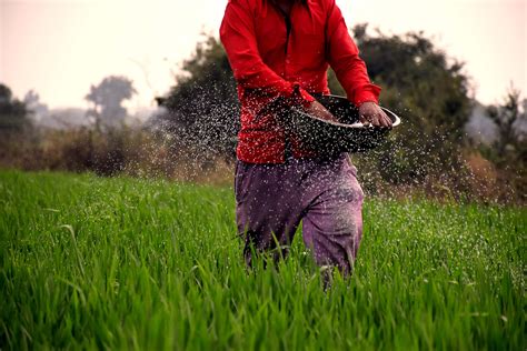 Adding Manure And Fertilizers