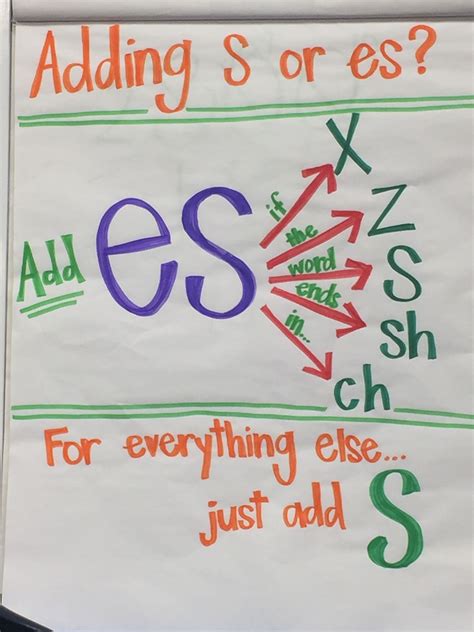  Adding S And Es - Adding S And Es