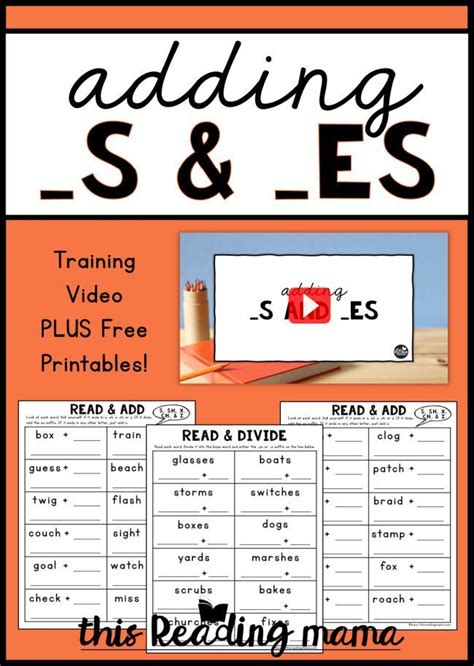 Adding S And Es English Learning With Bbc One And Many Es Words - One And Many Es Words