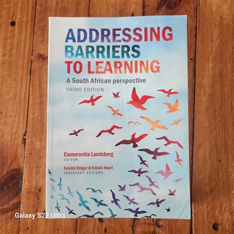 addressing barriers to learning a south african perspective