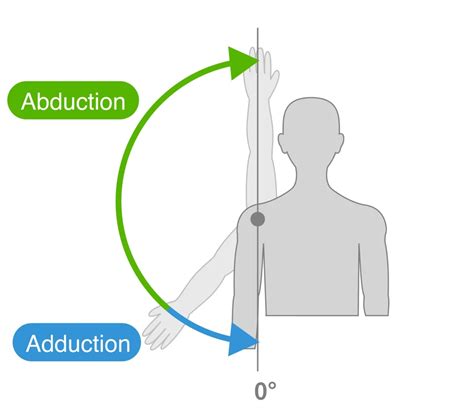 Adduction
