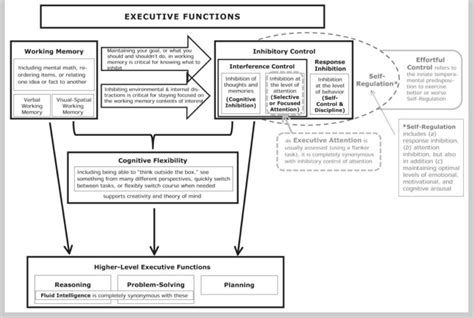 Adele Diamond Executive Functions