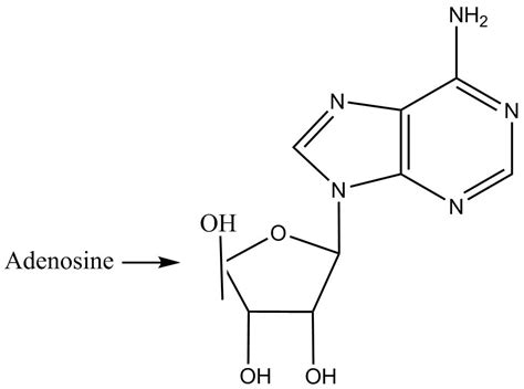 Adenine Ribose