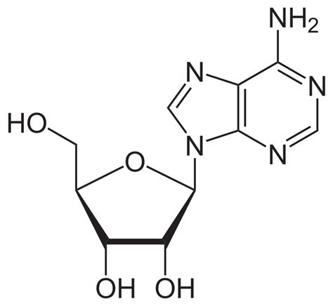 adenosina