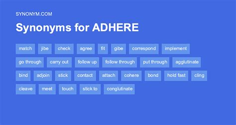 Adhere Synonym