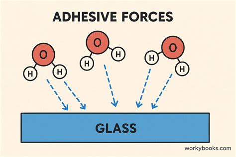 Adhesion Science Principles And Practice