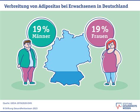 adipositas erwachsene