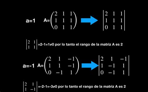 Adj De Una Matriz