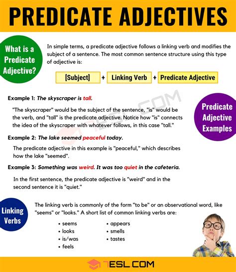 Adjective Worksheets Predicate Noun And Adjective Worksheet - Predicate Noun And Adjective Worksheet