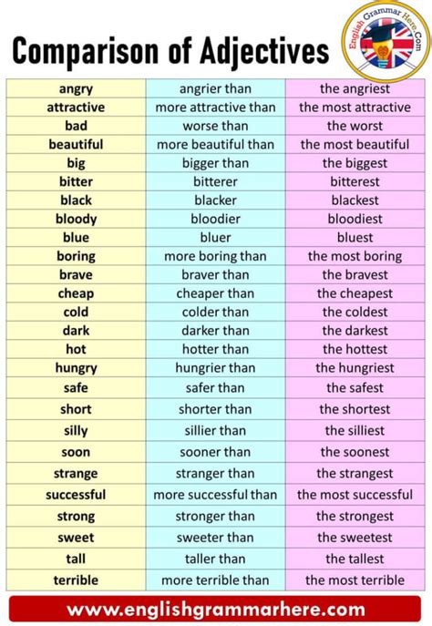 Adjectives Amp Degree Of Comparison For Class 7 Exercises On Kinds Of Adjectives - Exercises On Kinds Of Adjectives