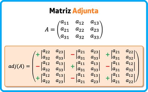 Adjunta De Una Matriz