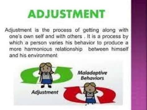 adjust meaning