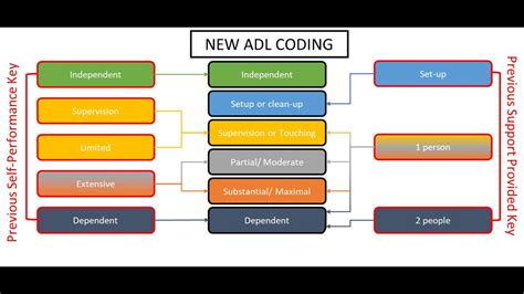 Full Download Adl Coding Quiz For Cnas 