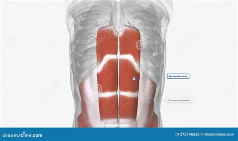 adminus | Ks220Lr503 Dc3075V Adminus Fingerprint Board Tokopedia